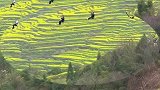 本来是坐缆车看美景，结果遇到堵车