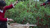 德国工人给庭院铺砖，操作严谨，铺完用高压水枪一冲，别提多美！