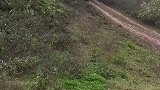 越野车下坡失控，险些翻车把好友惊出一身汗