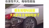 大众：别催了我油门到底了带你懂车