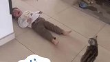 小猫气不过把奥特曼扔在孩子的必经之路