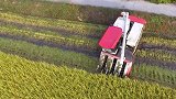 看日本制造的水稻收割机有多先进，科技强国果然名不虚传
