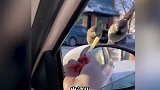 等了一上午，等来个孤独