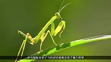 世界最“灵活”潜艇问世