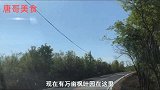 驱车几十公里为了滁州太平村的千张豆腐老鹅肉，地地道道山村美食