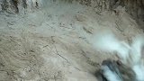 老鹰与巨蜥惨烈厮杀，巨蜥被鹰爪牢牢抓住，谁料结局让人大跌眼镜