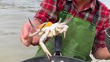 船长海鲜美食一锅出