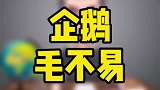 你不知道的企鹅毛不易
