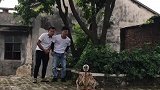 这是什么情况