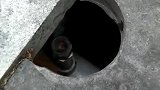 猫：我来看看这下面有没好吃的！