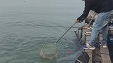 1127日钓鱼