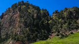 青山绿水任我游