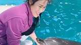 蓬莱八仙过海度假区 小海豚久违了