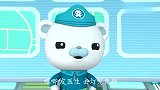 海底小纵队｜嘤嘤～海星迷路了，翻遍整个海洋也要找到闪闪的家！