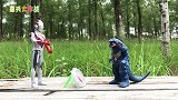 艾克斯奥特曼与哥尔赞争夺罗布水晶，谁能抢到水晶呢