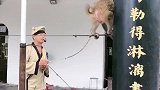猴子走纲丝。