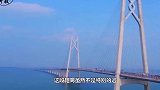 为什么港珠澳大桥开通这么久，却很少有车从上面走？原因来了！