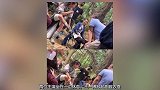 赵丽颖王一博新剧《有翡》受到关注，魔改路透新闻曝光