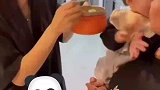 宝妈反向喂饭，你不吃我吃，我吃完