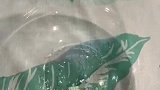 今天宵夜吃这个，肉丸汤简直不要太好吃