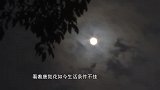 母亲觉得被拐儿子嫌弃她，儿子为了安抚母亲，大口吃她做的菜！