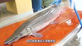 泰国人处理怪鱼，嘴巴似鳄鱼一份卖300元，食客：不值