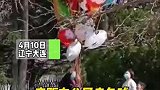 辽宁大连，商贩在公园卖气球，目击者：被没收后放飞了