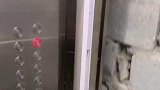 电梯运行发生故障，乘客的心提到嗓子眼