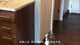 我说长的矮还是有好处的，我媳妇还不信，至少省停车费了吧