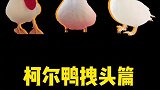 小鸭子的头怎么出来