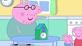 小猪佩奇：猪爸爸修好了闹钟，闹钟里面有一只布谷鸟