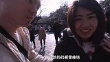 原来雷峰塔上面这么好看，金光闪闪还挺高，值得一去