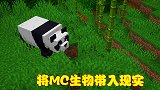 MC生物种类繁多，如果挑选一种带进现实，谁会是最佳选择？