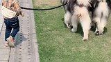 小孩遛狗危险？不负责？我家却恰恰相反