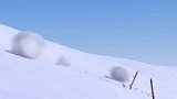 倒霉熊：一个雪橇坐四个人，快坐不下了