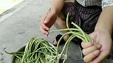 农村妹子教你怎么做干豆角，这种做法还是第一次见！