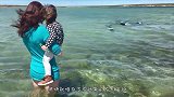 妈妈抱着女儿看海，一群黑压压的家伙逼近他们，这些是什么东西？