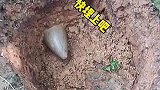挖到一个大雷子，会不会爆炸