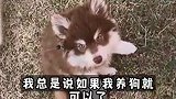 赖因德斯之前给狗取名“梅西”，因为他是世界最佳球员