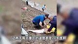 重庆遭遇断崖式降温致鱼儿“翻塘”，大批市民到河里捞鱼，场面壮观