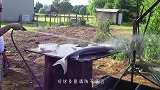 男子处理大鱼，竟将其骨髓整条抽出，这是在干嘛？