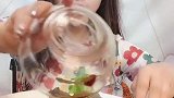 生呛保龄球海葵