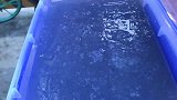 四川的朋友做出彩虹冰粉，只要你报暗号，免费吃哦！