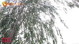 同学们热的苦不堪言，没想胖妞用粘土做弓箭，能把太阳射下来吗