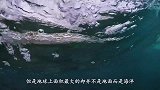 黑龙江渔夫捕到中国最大淡水鱼，重达上千斤，专家看后不淡定了