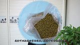 家里有绿豆的要留意了，立马看看视频，我也是刚知道，快告诉家人