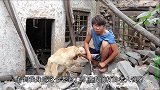 小伙探险百年老宅，金毛在柜子里发现两个皮包，小伙打开后乐坏了