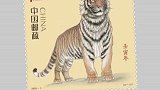 虎年生肖邮票图稿9月16日下午正式亮相！一套两枚，分别诠释“国”与“家”