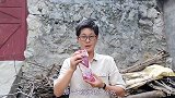 九九做回锅肉，苗大姐眼睛都发光了，吃起来太香了