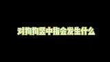 小狗能有什么坏心思呢